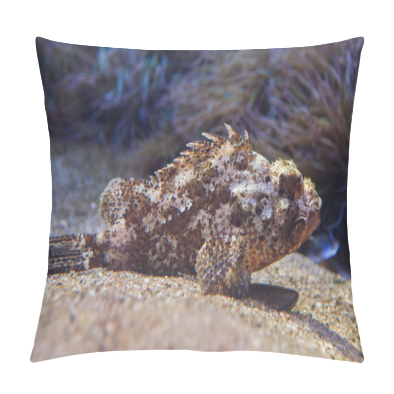 Personality  Small Red Scorpionfish (Scorpaena Notata). Pillow Covers