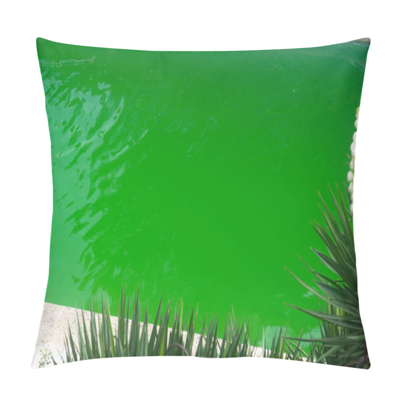 Personality  Poorly Maintained Swimming Pool Overgrown With Green Algae Pillow Covers