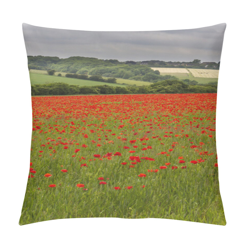 Personality  Field Of Red Poppies (Papaver Rhoeas) Pillow Covers