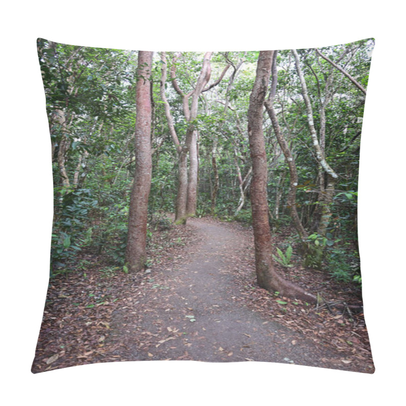 Personality  Gumbo Limbo Trail In Everglades National Park, Florida. Pillow Covers