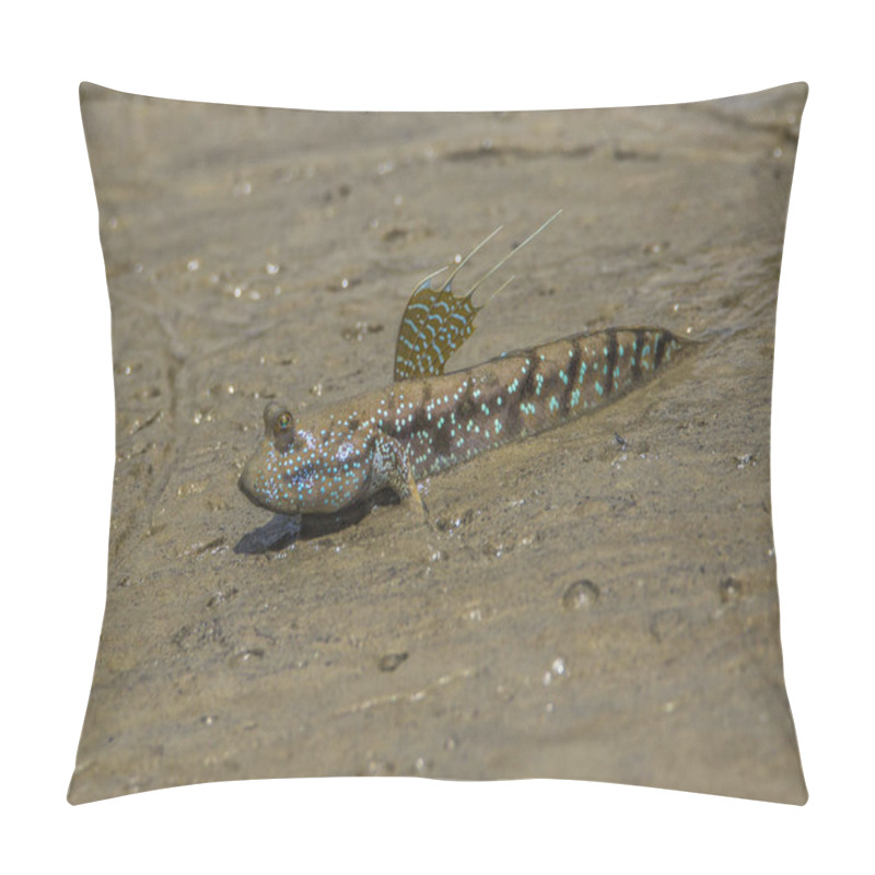 Personality  Yellow Spotted Mudskippers (Periophthalmus Walailakae) In Borneo. Pillow Covers