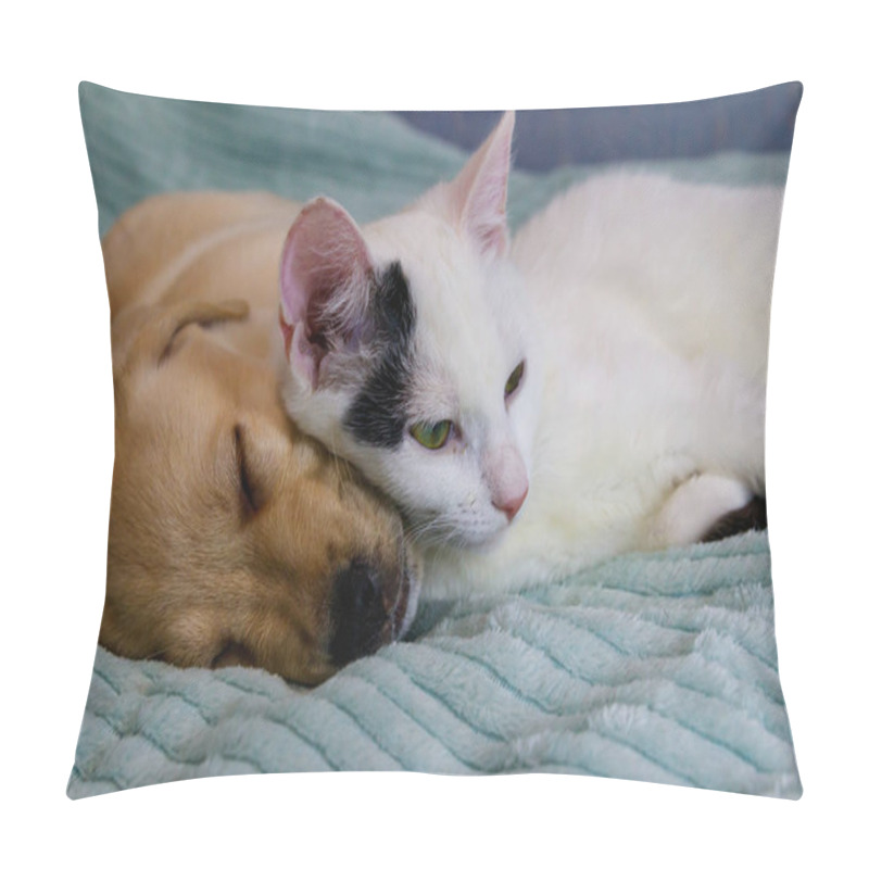 Personality  Small Cute Labrador Retriever Puppy Dog And Young Cat On A Bed. Friendship Of Pets Pillow Covers