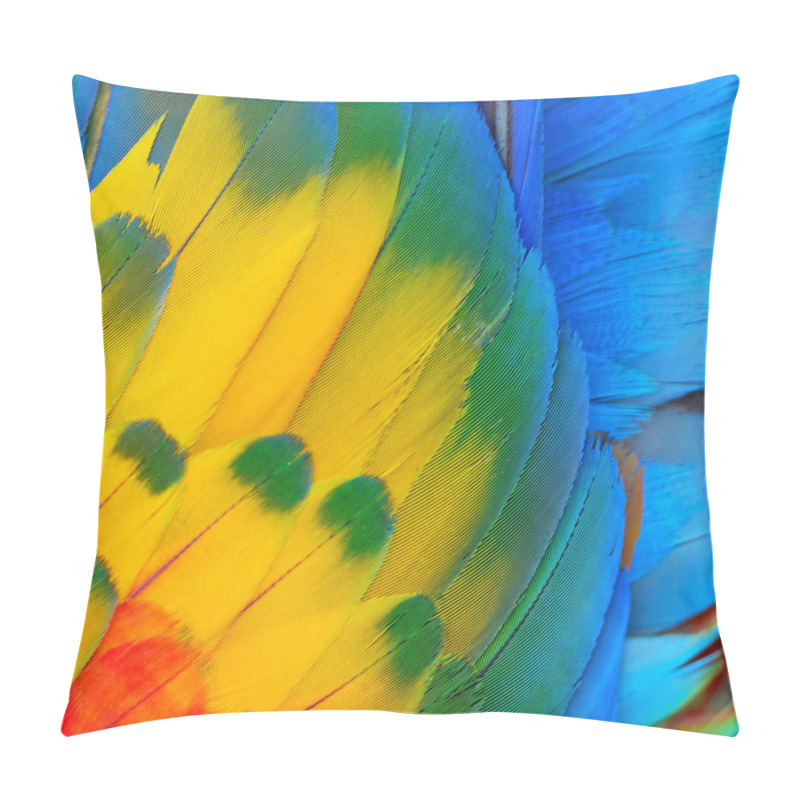 Personality  Scarlet Macaw Feathers Pillow Covers