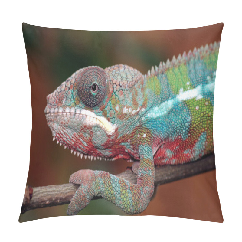 Personality  Panther Chameleon Pillow Covers