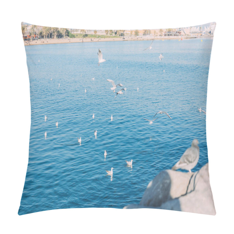 Personality  Coast View With Birds Flying Over Blue Sea, Barcelona, Spain Pillow Covers