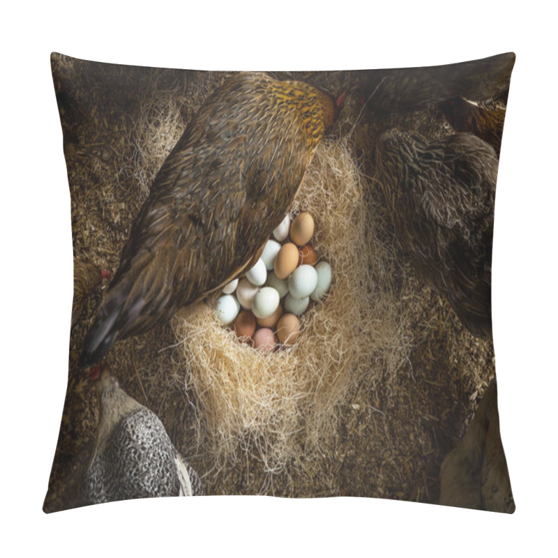 Personality  A Closeup Of Chickens And A Pile Of Eggs Inside A Barn Pillow Covers