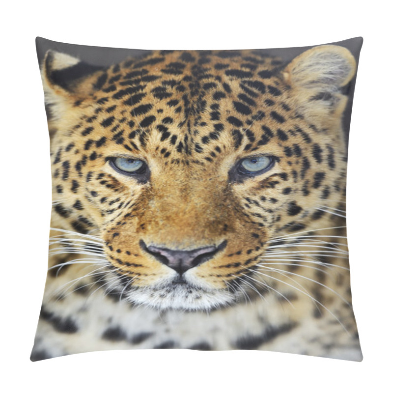 Personality  Leopard Pillow Covers