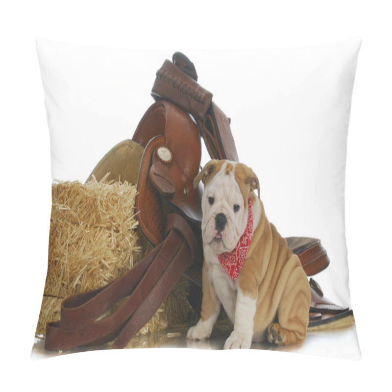 Personality  Farm Dog Pillow Covers