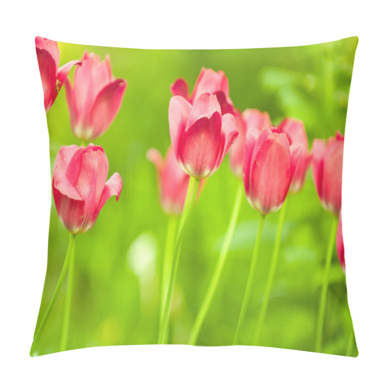 Personality  Beautiful Red Tulips On Flower Bed In The Garden In Spring Pillow Covers