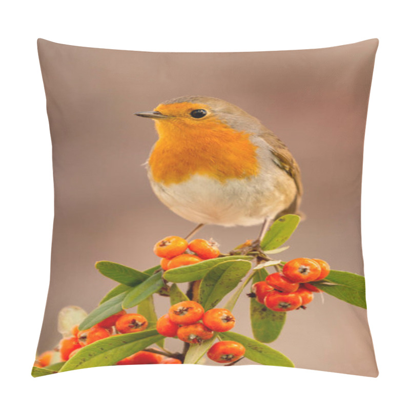 Personality  Beautiful Small Bird  Pillow Covers