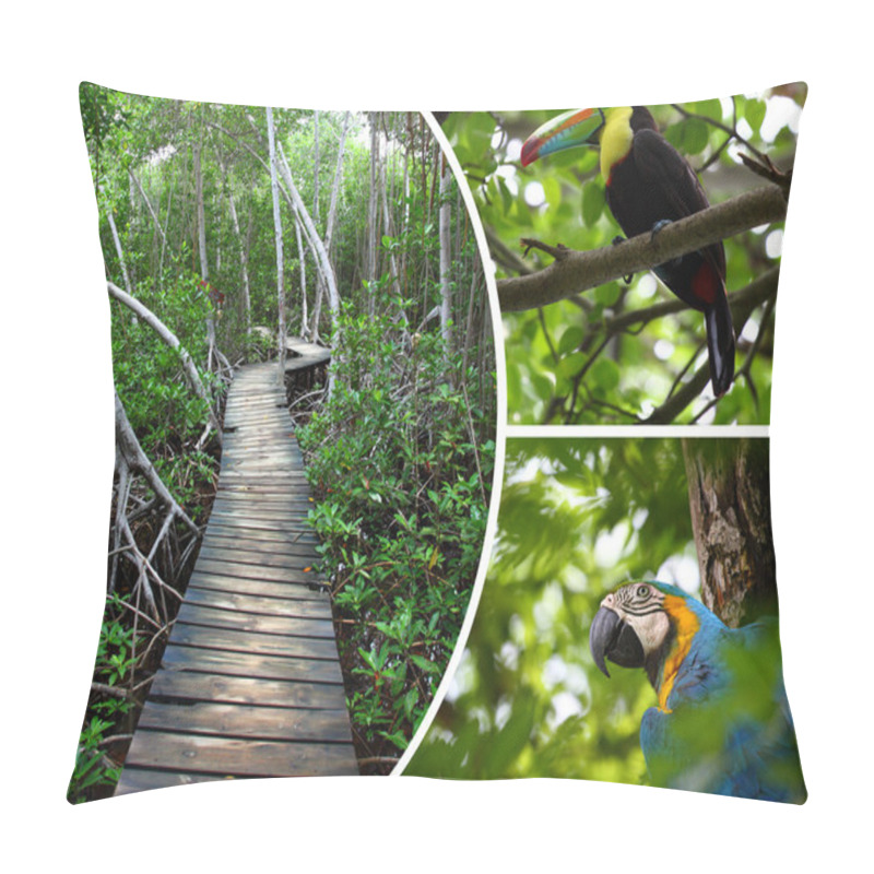 Personality  Collage Of Tropical Island In Colombia Images - Travel Backgroun Pillow Covers