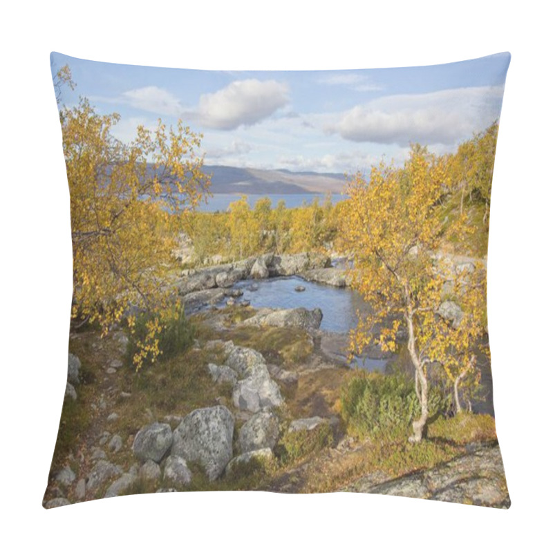 Personality  Autumn Stream Near A Waterfall On Tsahkaljoki River With A View Of Lake Kilpisjrvi In Kilpisjrvi, Finland Pillow Covers