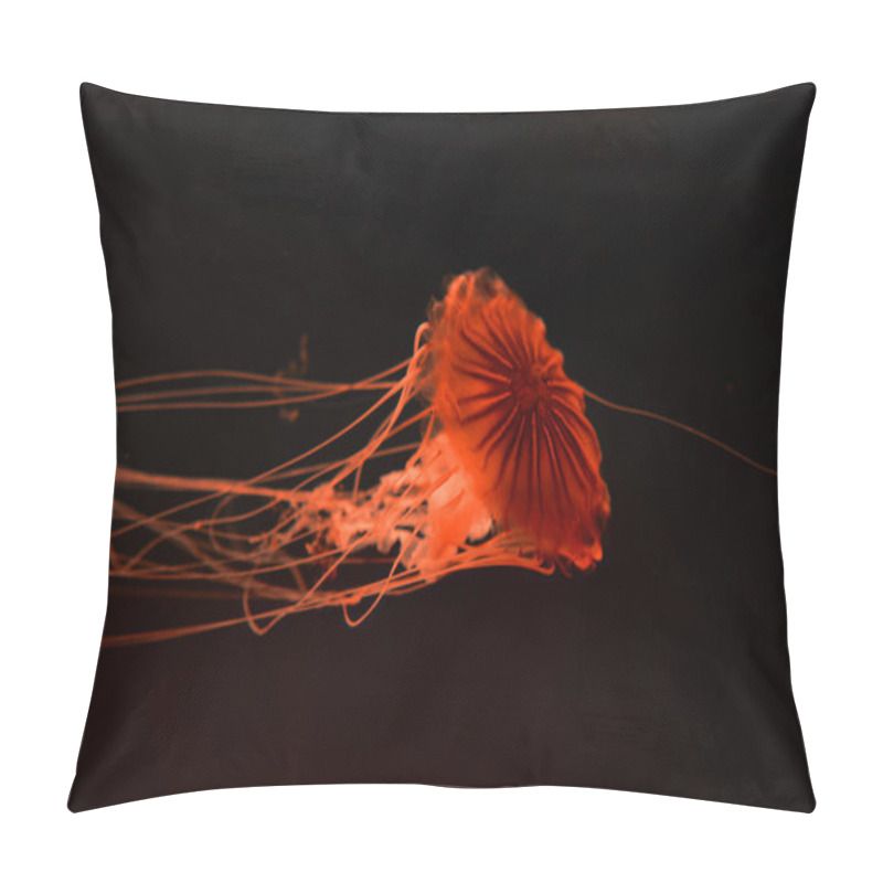 Personality  Compass Jellyfish With Red Neon Light On Black Background Pillow Covers