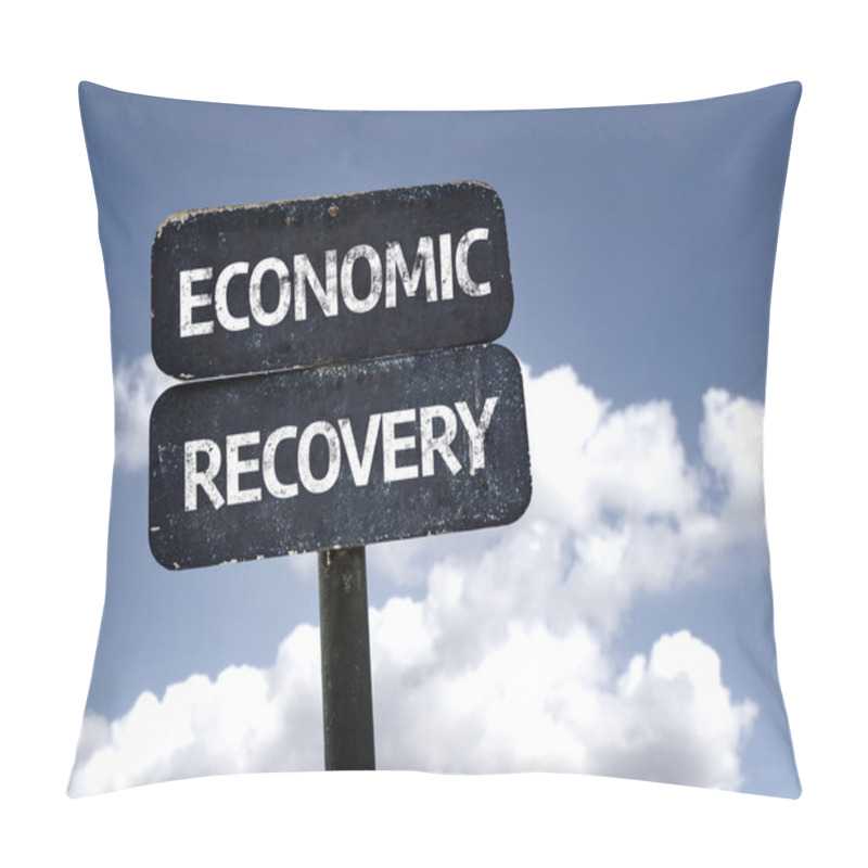 Personality  Economic Recovery Sign Pillow Covers