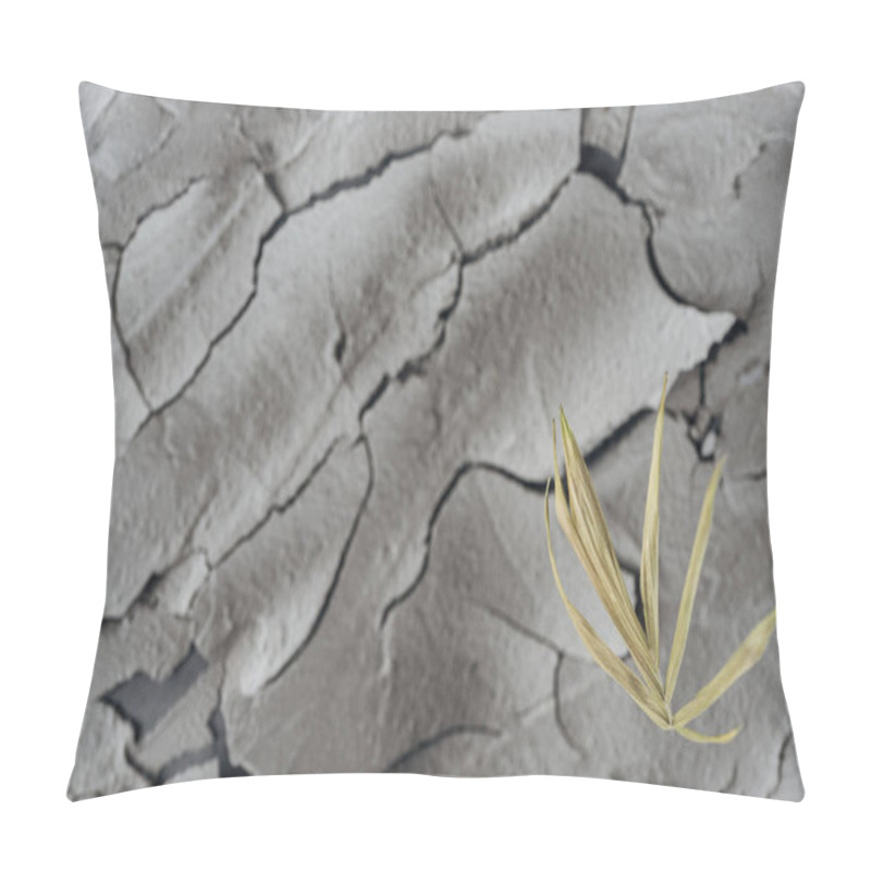 Personality  Selective Focus Of Dry Plant On Barren Surface, Global Warming Concept Pillow Covers