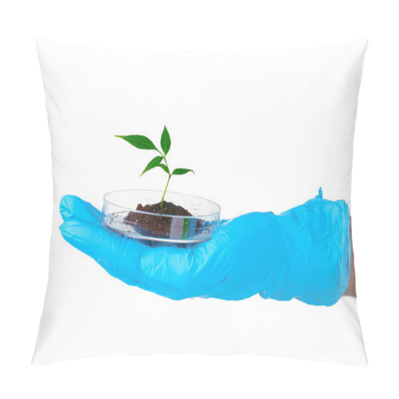 Personality  Genetically Modified Plant Tested In Petri Dish In Hand Pillow Covers