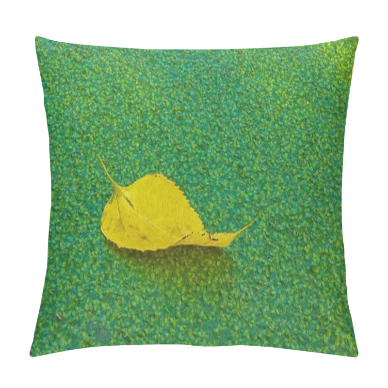 Personality  Falling Into The Water Covered With Duckweed Lemna Minor, The Leaves Of The Trees Float On The Surface Pillow Covers