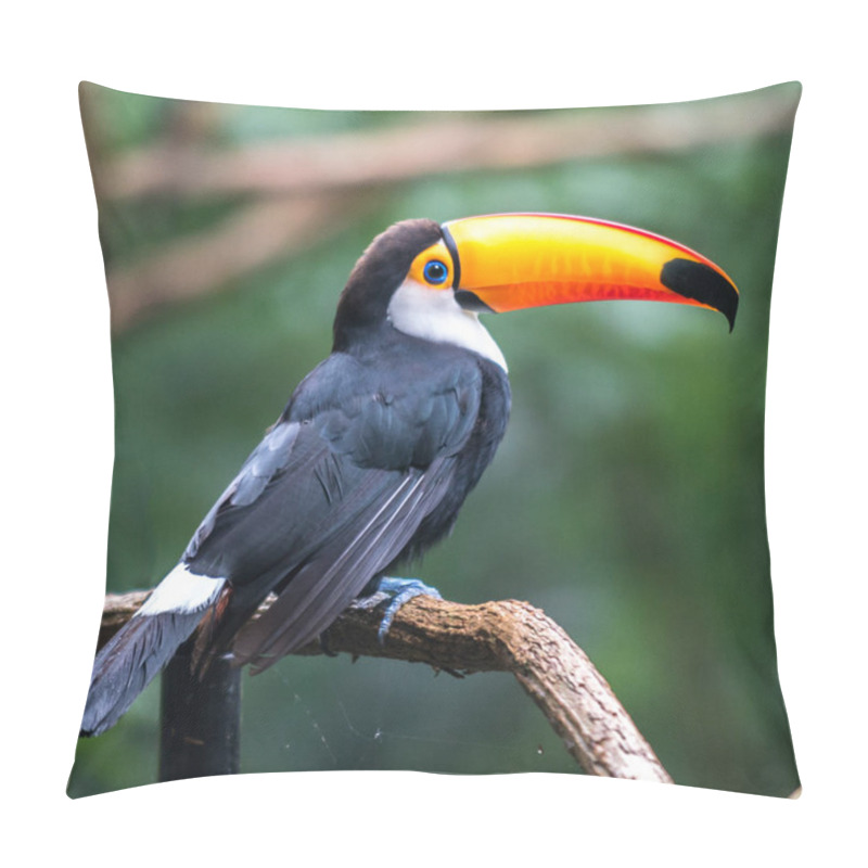 Personality  Toucan (Ramphastos Toco) Sitting On Tree Pillow Covers