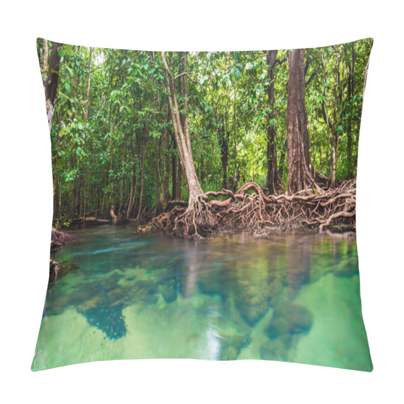 Personality  Mangrove Trees With The Turquoise Green Water Stream Pillow Covers