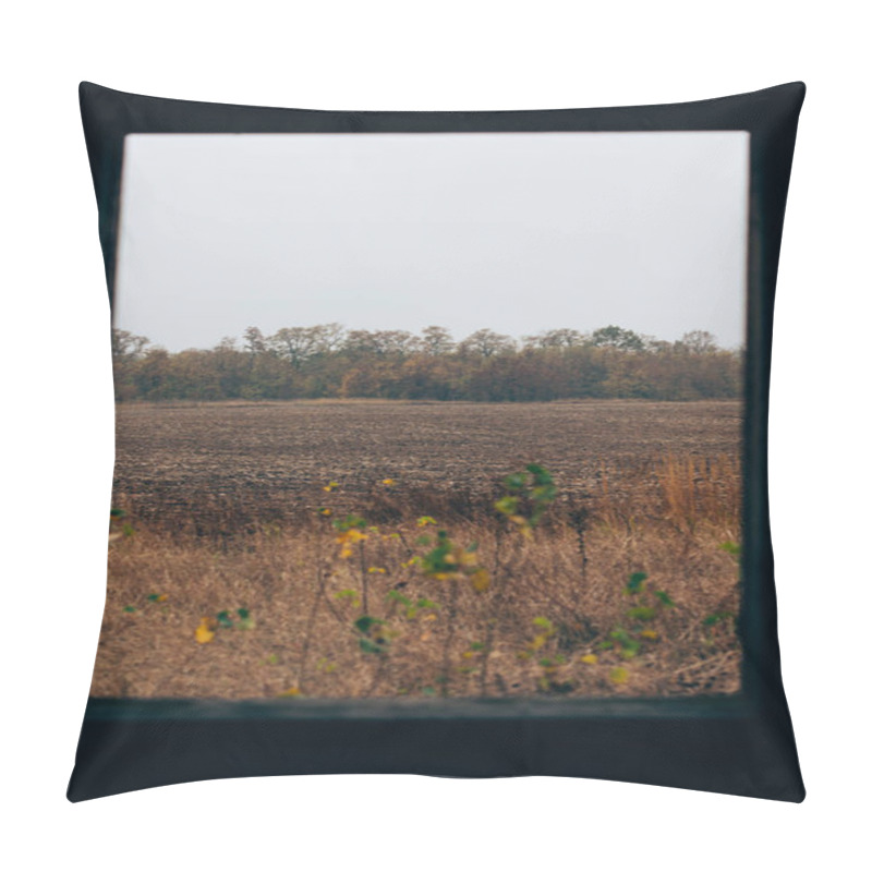 Personality  Selective Focus Of Field From Window Of Abandoned House Pillow Covers