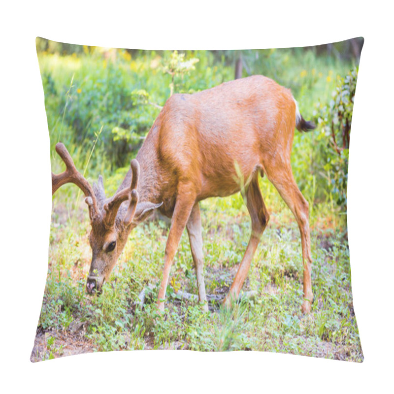 Personality  Young Cute Elk  Pillow Covers