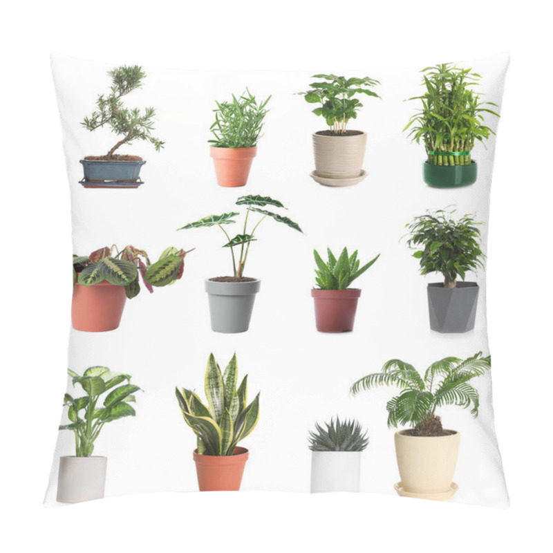 Personality  Set Of Different Houseplants In Flower Pots On White Background Pillow Covers