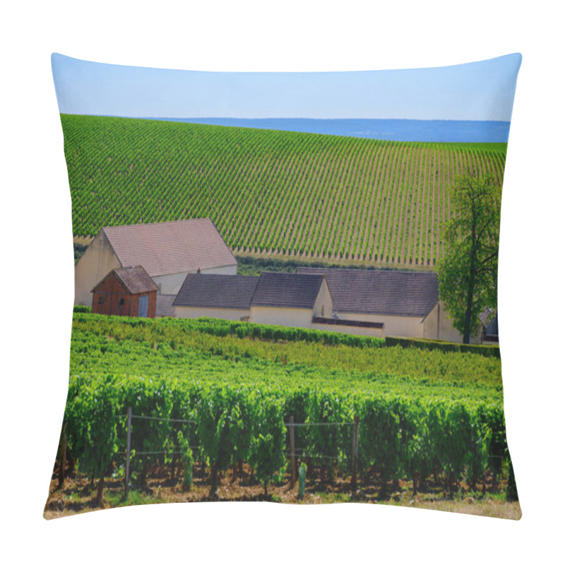 Personality  Poully-fume Wine Production Region In Burgundy, France On Loire River Near Poully-sur-Loire Village With Chateau, Hilly Vineyards In Summer, France Pillow Covers