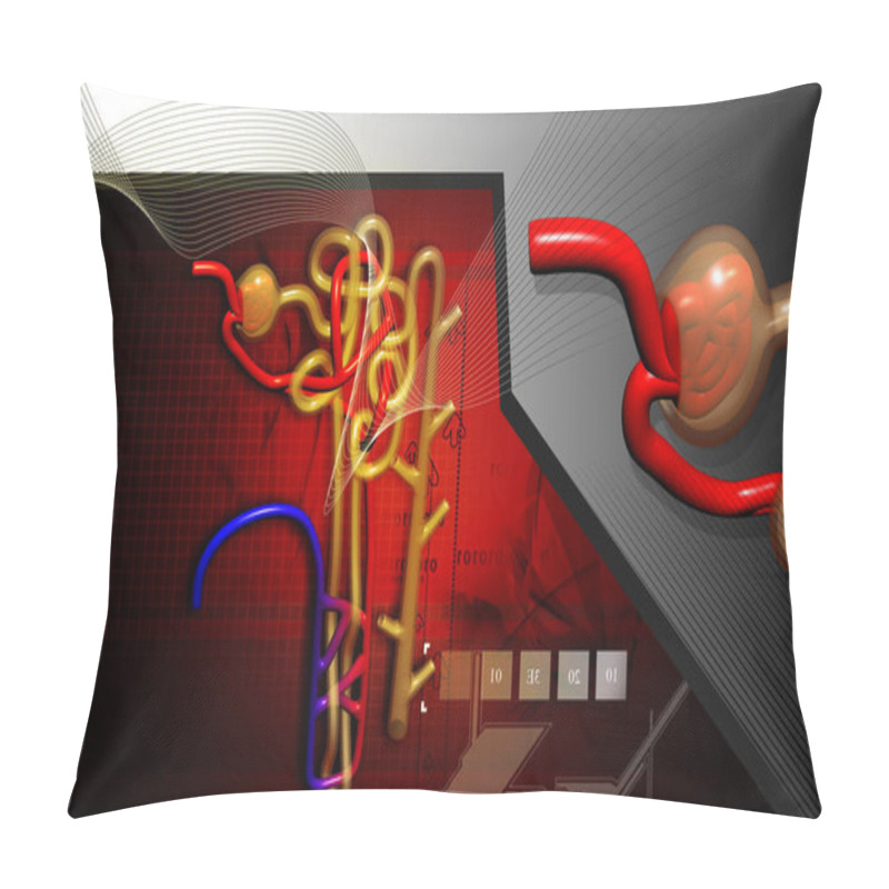 Personality  Digital Illustration Of  Nephron   In  Colour Background	 Pillow Covers