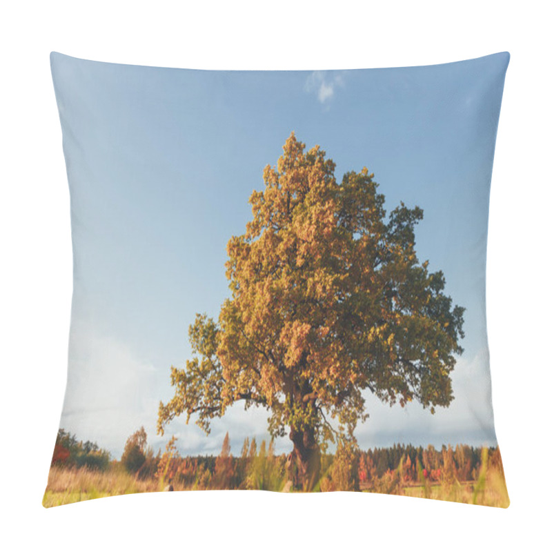 Personality  Oak Tree With Yellow Foliage At Sunny Autumn Day Pillow Covers