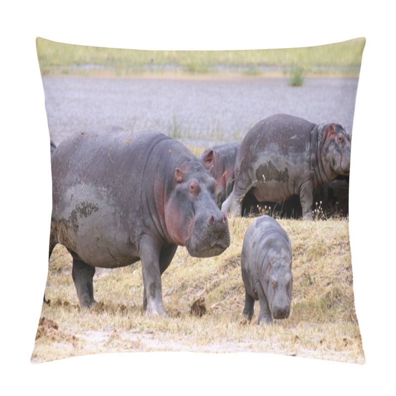 Personality  Hippopotamus With A Little Baby Hippo In The Savannah Of Africa Pillow Covers