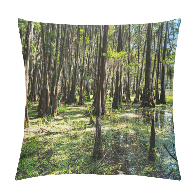 Personality  Roots Of Cypress Trees At Caddo Lake,  Texas Pillow Covers