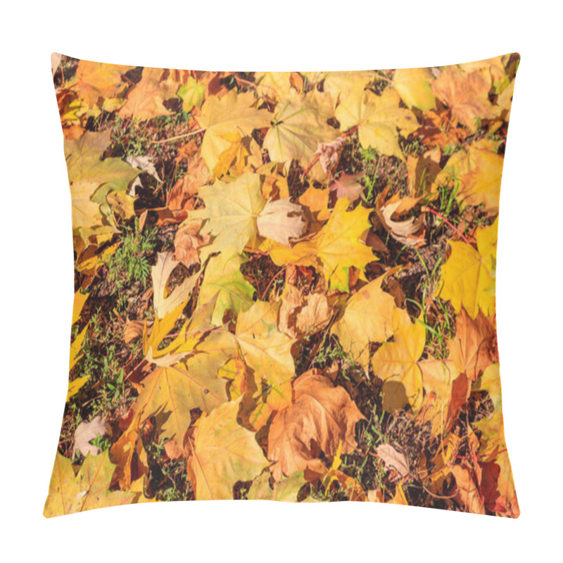 Personality  Background Of The Autumn Maple Leaves Pillow Covers