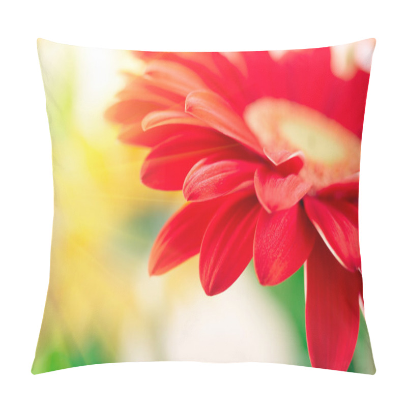 Personality  Closeup Of Red Daisy-gerbera With Waterdrops Pillow Covers