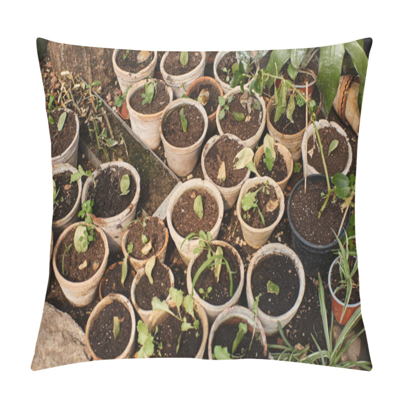 Personality  Top View Of Green Sprouts In Soil Inside Of Pots Inside Of Greenhouse, Potted Plants Nurturing Pillow Covers