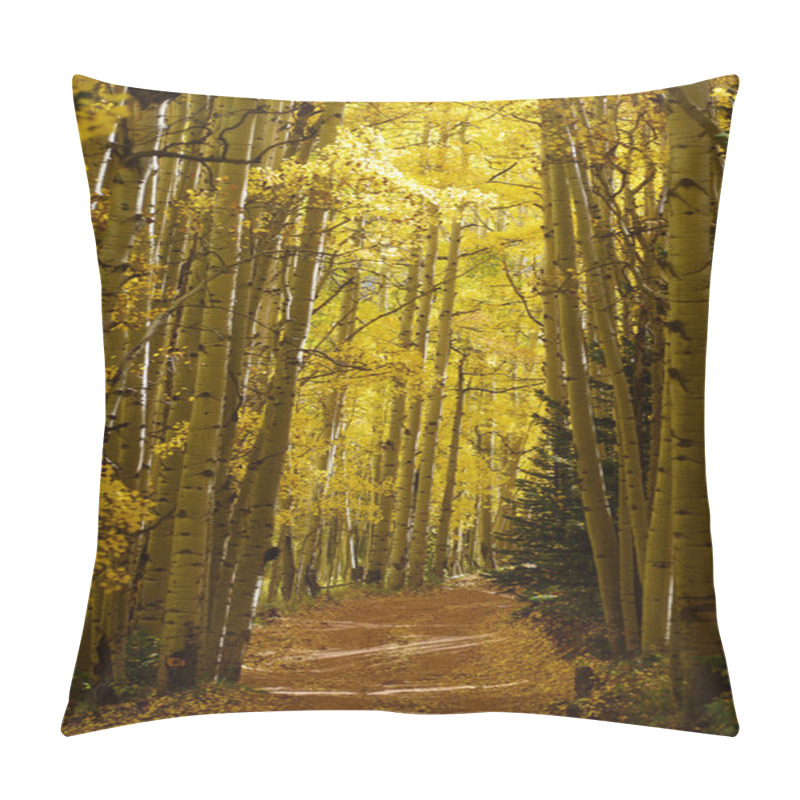 Personality  Autumn Aspen Trees Pillow Covers