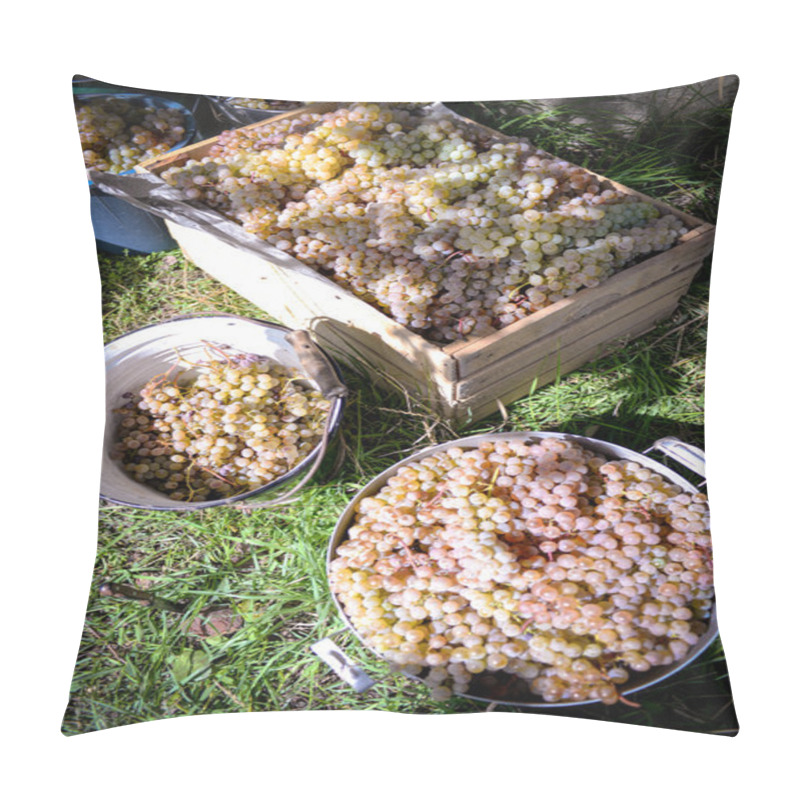 Personality  Rtveli - Grapes Harvesting Tradition In Georgia Pillow Covers