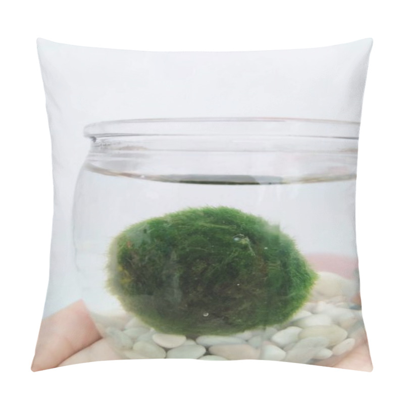 Personality  Marimo In A Glass Vase Pillow Covers