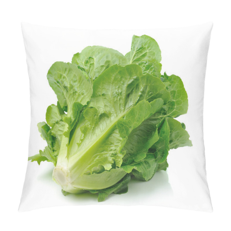 Personality  Cos Lettuce Pillow Covers