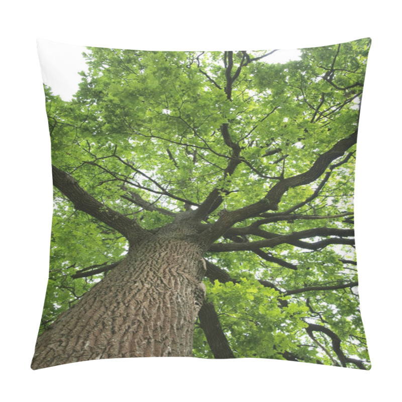 Personality  Green Oak Tree Pillow Covers