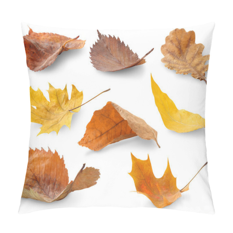 Personality  Autumn Leaves Pillow Covers