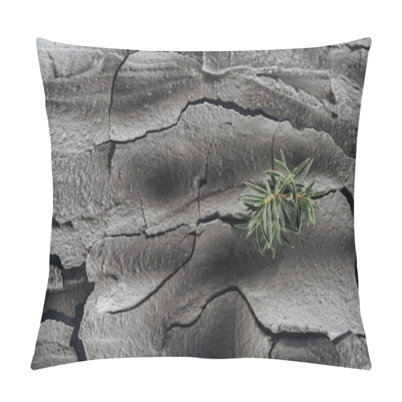 Personality  Dried Cracked Ground Surface With Young Green Plants, Global Warming Concept Pillow Covers