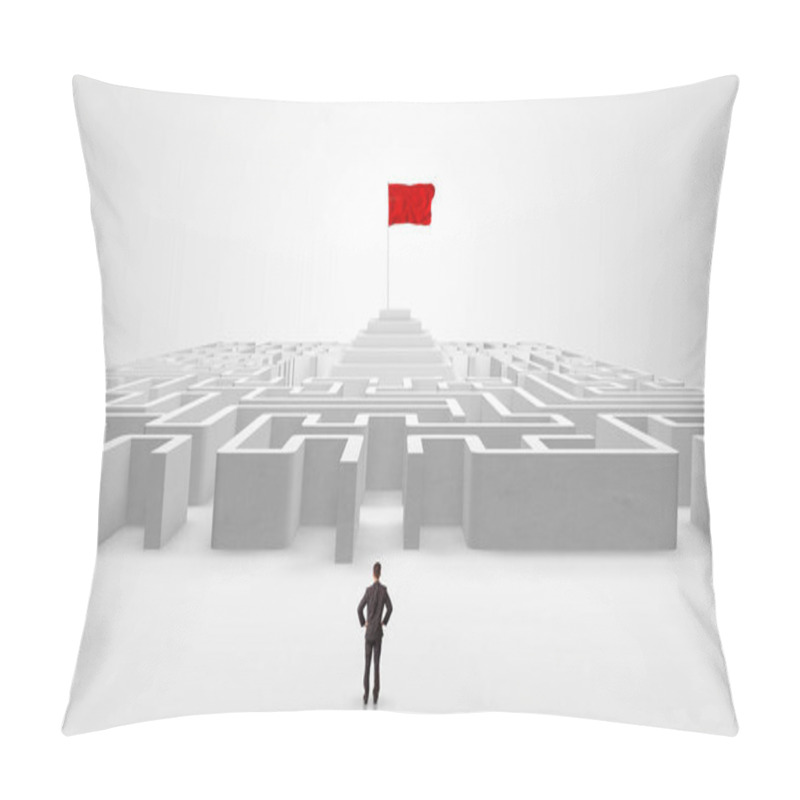 Personality  Man Standing Outside Of A Maze With Pirate Flag Pillow Covers