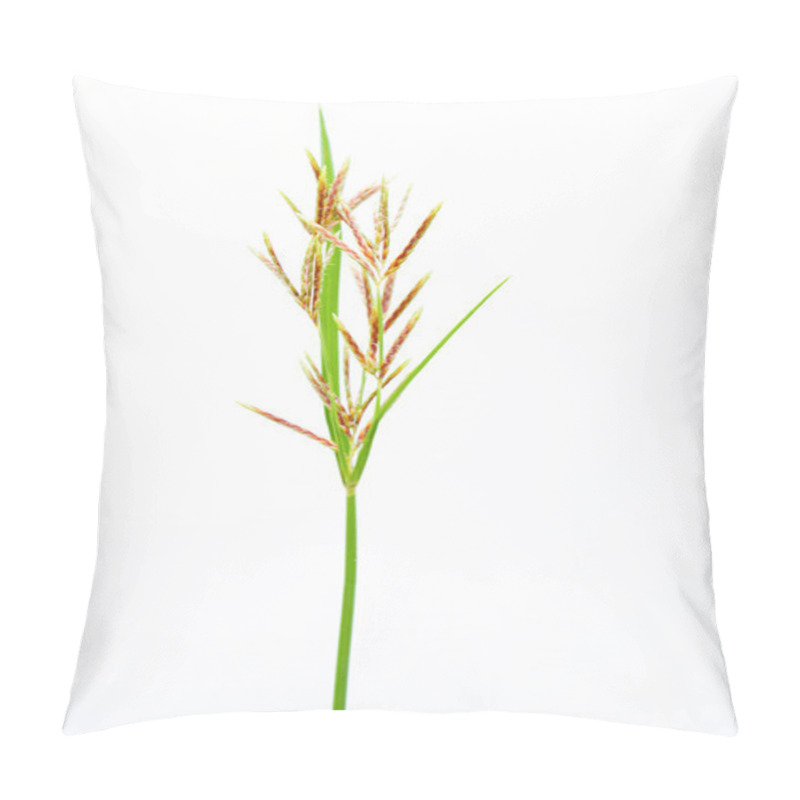 Personality  Long Grass Meadow Closeup On White Isolate Background Pillow Covers