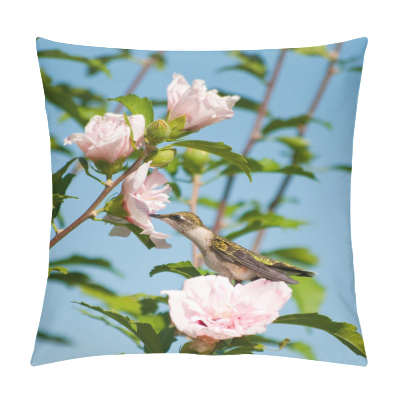 Personality  Lazy Little Hummingbird Sitting On An Althea Flower Pillow Covers