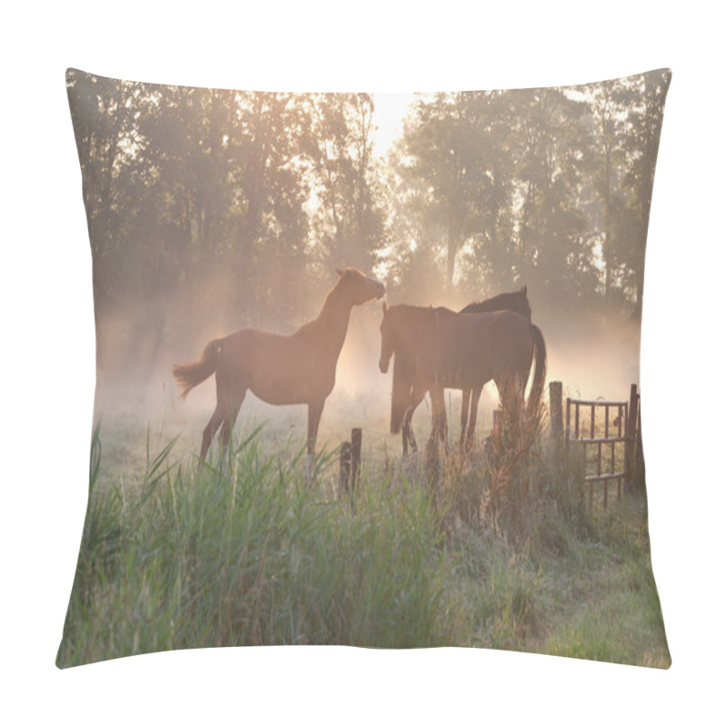 Personality  Horses In Mist At Sunrise Pillow Covers