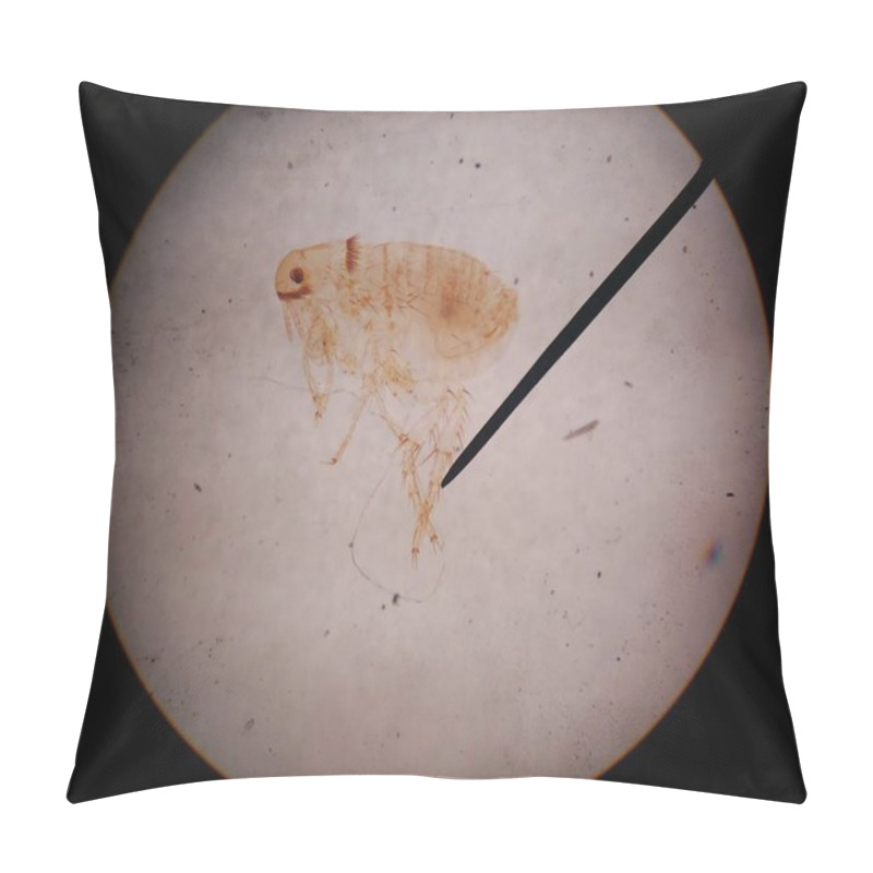 Personality  Macro Animal Parasite Find With Microscope. Pillow Covers