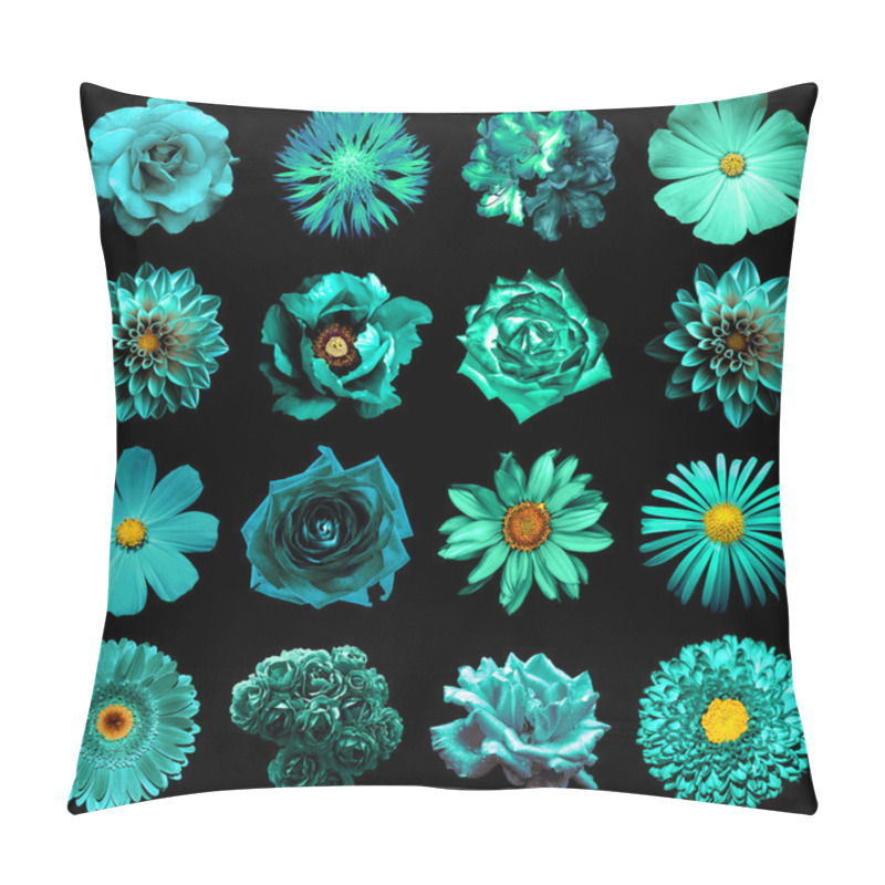 Personality  Mix Collage Of Natural And Surreal Turquoise Flowers 16 In 1: Peony, Dahlia, Primula, Aster, Daisy, Rose, Gerbera, Clove, Chrysanthemum, Cornflower, Flax, Pelargonium Isolated On Black Pillow Covers