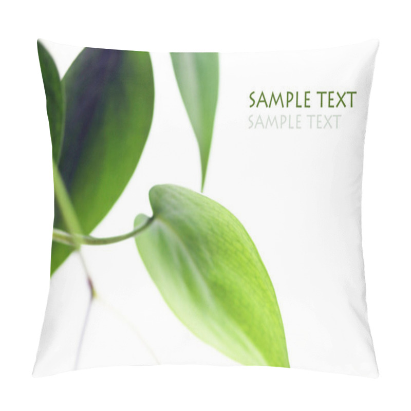 Personality  Young Green Leaves Against White Background And Space For Text Pillow Covers