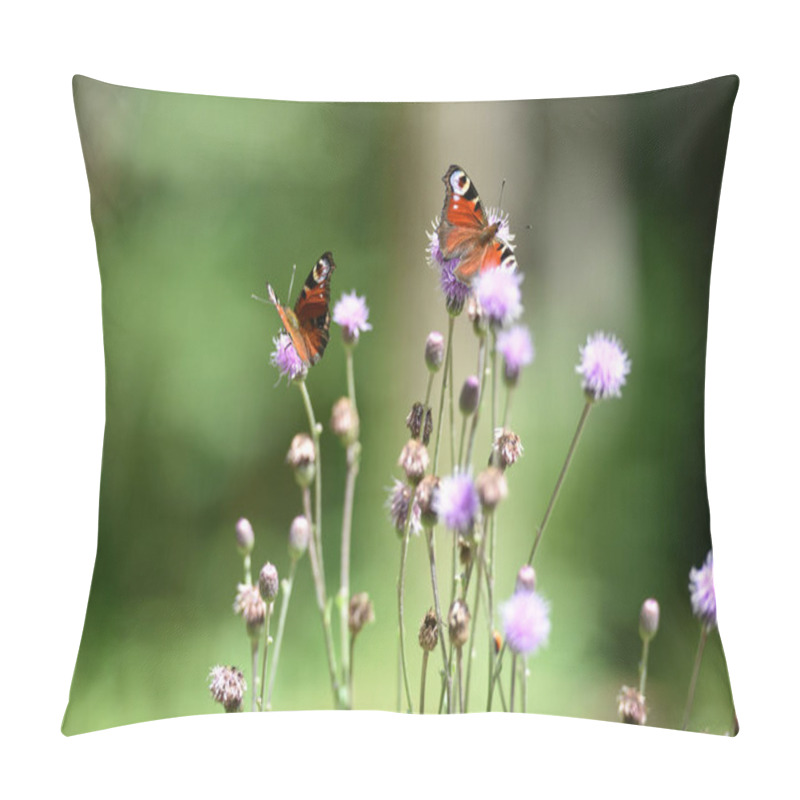 Personality  Vanessa Atalanta. Red Admiral On Meadow Flower Cirsium Vulgare, With Blurred Background. Butterfly Close-up. Nature In Summer. Beautiful Butterfly Collects Nectar From A Wild Plant. Selective Focus Pillow Covers