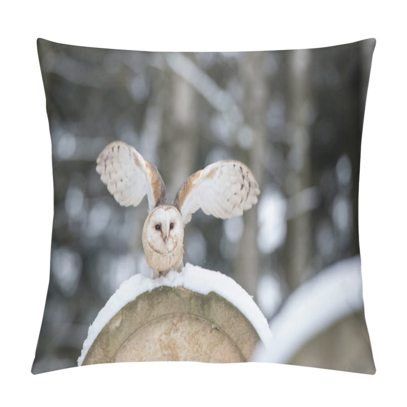 Personality  The Western Barn Owl Or Tyto Alba Is Flying In The Snowy Environment Of The Jewish Cemetery Pillow Covers